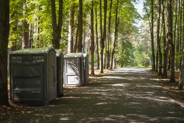 Best Affordable portable toilet rental  in Honeygo, MD
